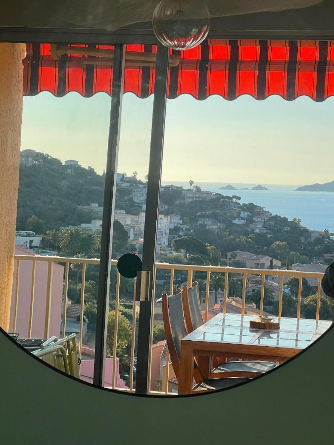 Super Appartement Vue Sanguinaires Ajaccio  Exteriör bild